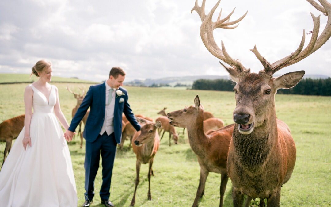 A Wedding at Thornton Hall Country Park