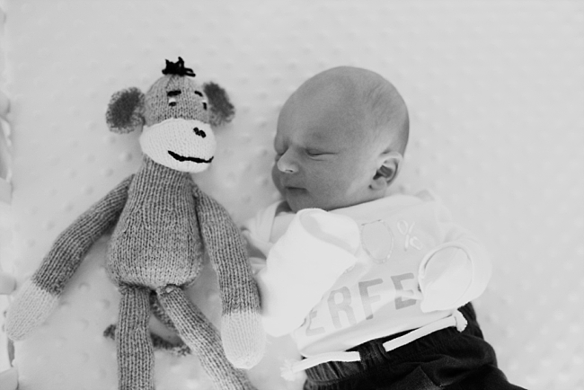 newborn baby with teddy