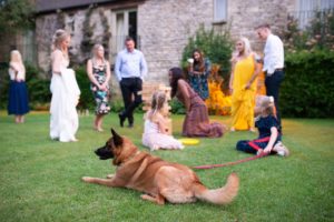 dog at wedding with guests playing garden games