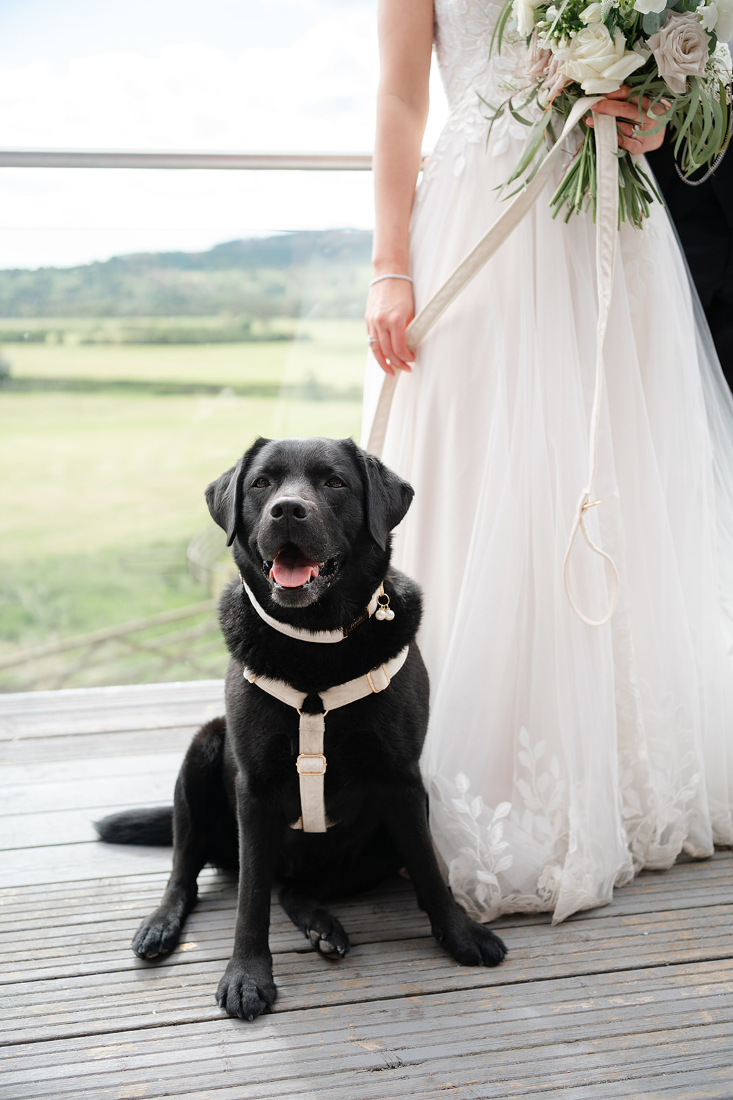 Bashall Barn wedding photography