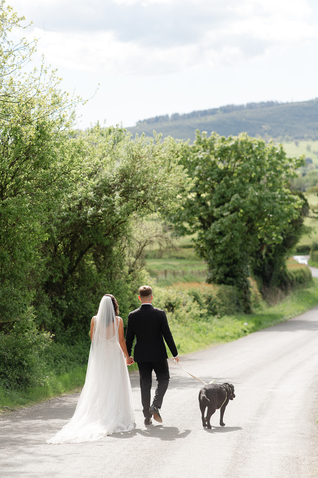 bride and groom walk down the lane with their black Labrador dog at Bashall Barn wedding